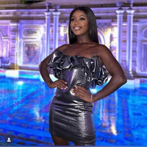 Zara Silver Metallic Coated Voluminous Ruffle Mini Dress NWT Medium